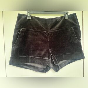Black Velvet Women's Shorts